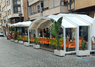 Carpa Bar