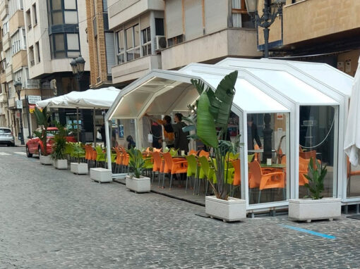 Carpa Bar